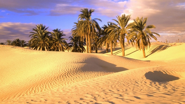 Mysteries Unraveled: Untold Secrets of the Sahara Desert