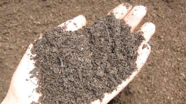 Nurturing Nature: Discover the Power of Organic Soils and Fertilizers