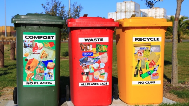 Trash Talk: Transforming Waste Removal into a Sustainable Solution