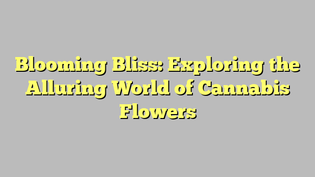 Blooming Bliss: Exploring the Alluring World of Cannabis Flowers