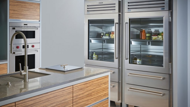 The Cool Guide: Exploring the Power of Sub Zero Appliances and Freezers