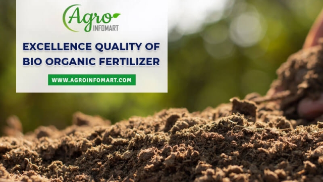 The Magic of Organic Soil: Cultivating Nature’s Nutrient Powerhouse