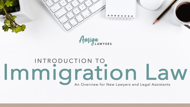 Navigating the Gateway: A Closer Look at Immigration Law
