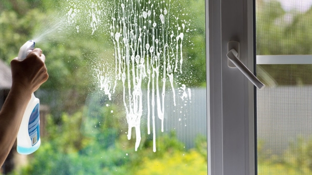 Crystal Clear: Mastering the Art of Window Cleaning