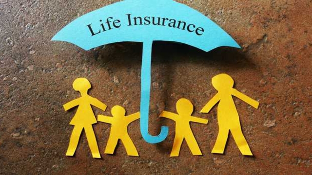 Safeguarding Your Future: Unraveling the World of Insurance