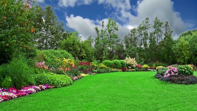 Bloom Better: Proven Gardening Tips for Thriving Green Spaces