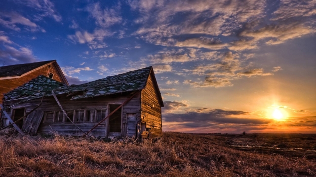 Embrace Nature: The Timeless Charm of Log Cabins and Homes