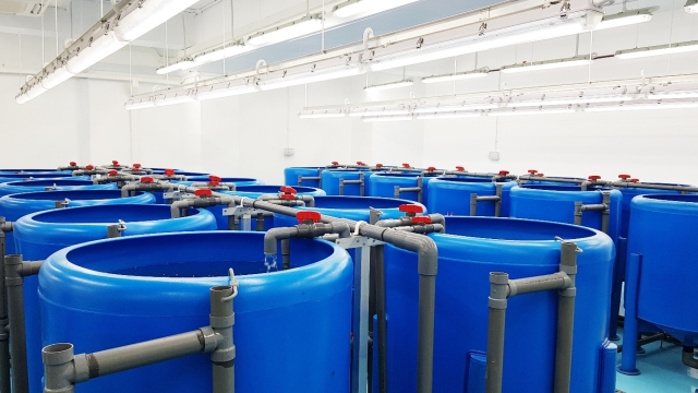 Revolutionizing the Waters: The Future of Aquaculture Technology