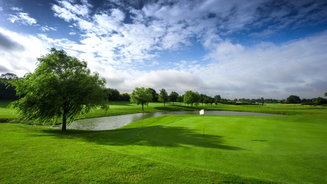 Swinging into Serenity: Discover the Joys of Golfing